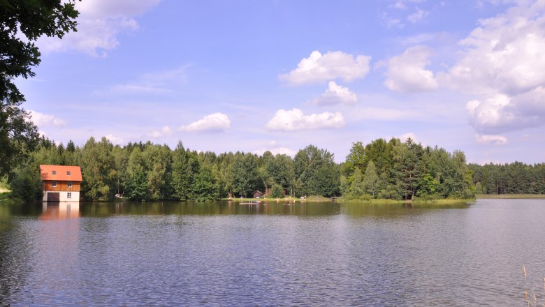 A lake with a house on the shore, surrounded by forest and a blue sky with clouds.