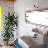 Bathroom with washbasin, mirror and plant.