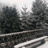 Snow-covered bench and trees in winter.
