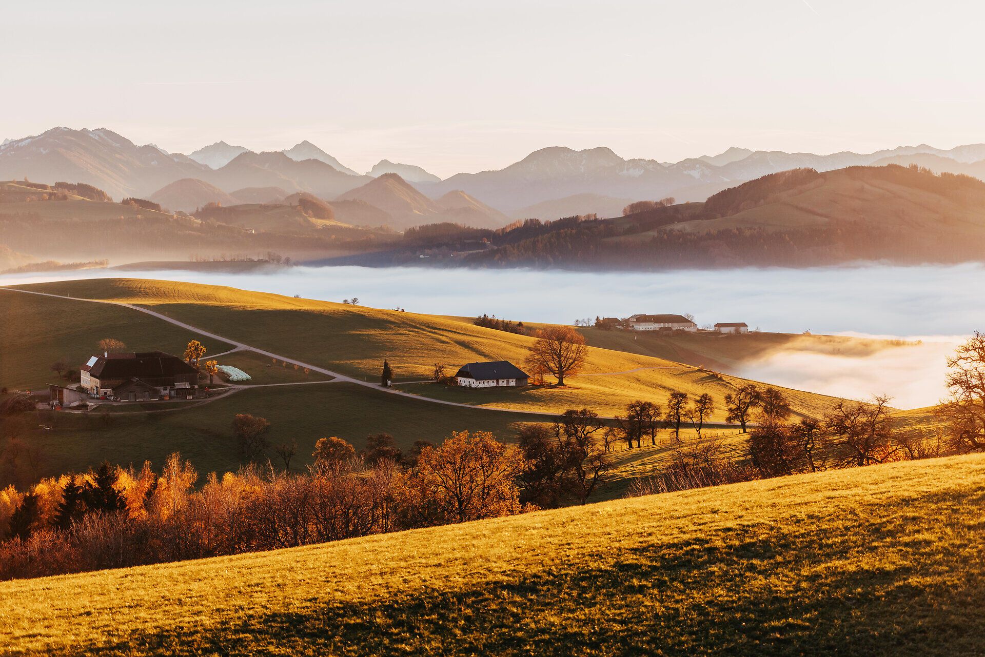 Die sanften Hügel des Mostviertels erstrahlen im warmen Licht des Herbstes, während der Nebel sanft über die Täler zieht. Die goldenen Wiesen und bunten Laubblätter schaffen eine malerische Kulisse, die zum Verweilen und Entdecken einlädt.