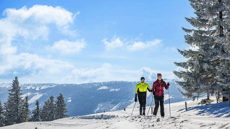 Two cross-country skiers on a snow-covered trail in a wintry mountain landscape.