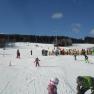 Children and adults skiing on a piste with a blue sky.