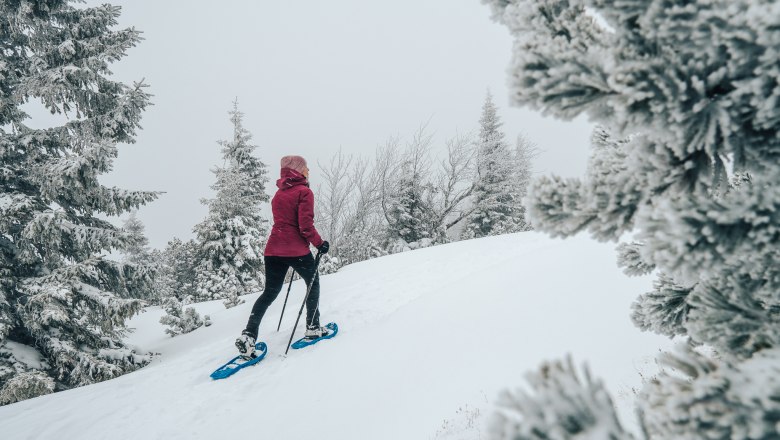 Snowshoeing on the Rax, © Tereza Bokrová