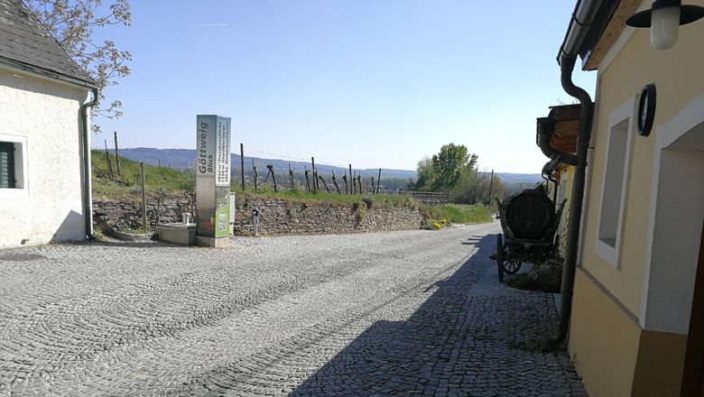 Cobbled street in the Rohrendorf wine cellar lane with vineyards in the background.