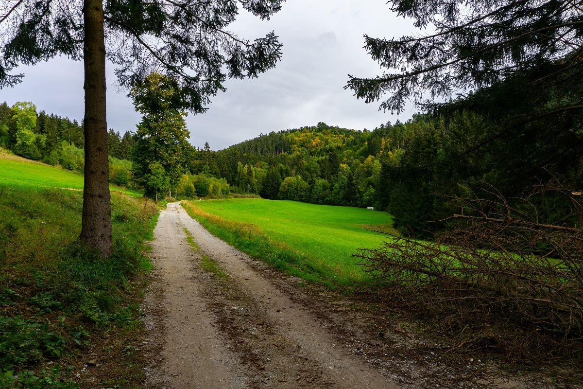 Traunfellnerweg