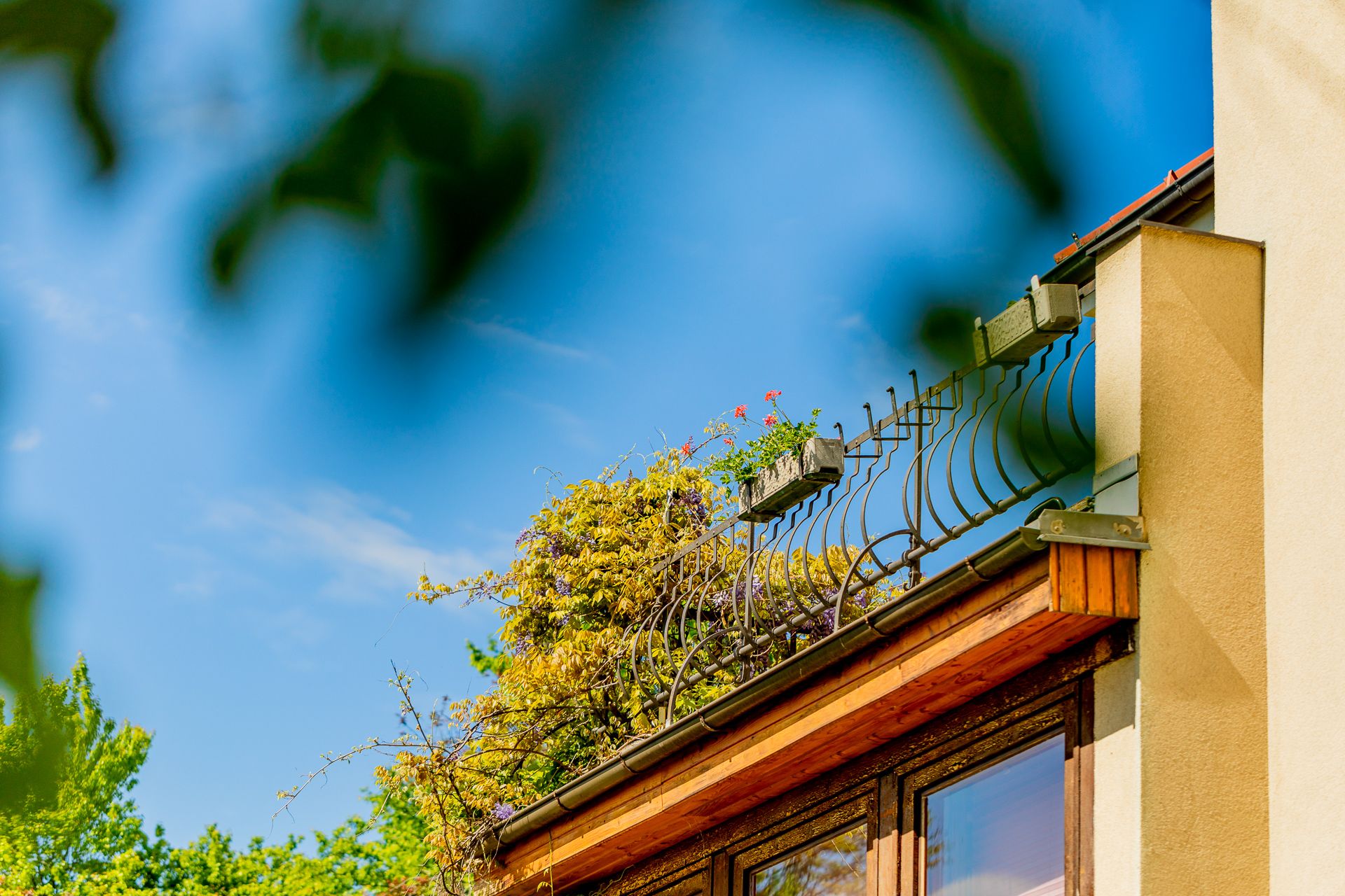 Close-up of a part of a building with plants and blue sky in the background.