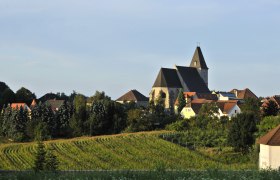 Landscape with church and village in the background, surrounded by fields and trees.