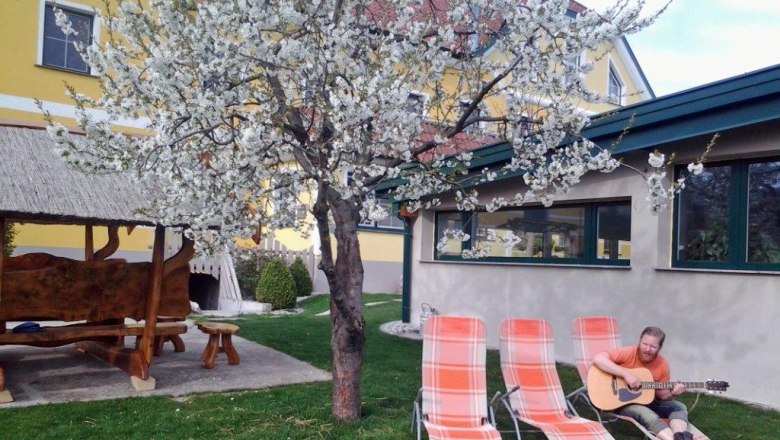 kerndlerhof_tree blossom splendor, © Kerndlerhof