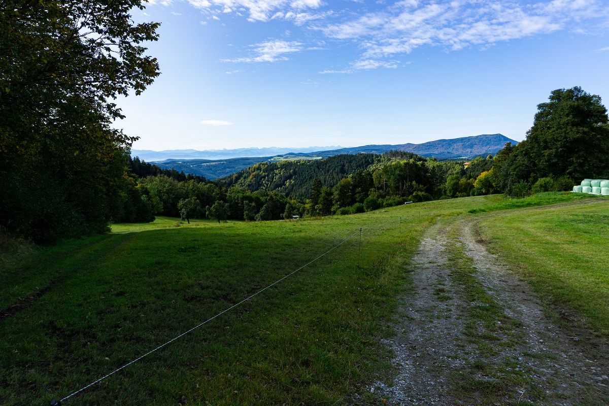 View back to the Ostrong