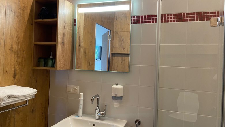 Modern bathroom with washbasin, mirror, wooden shelf and shower cubicle.