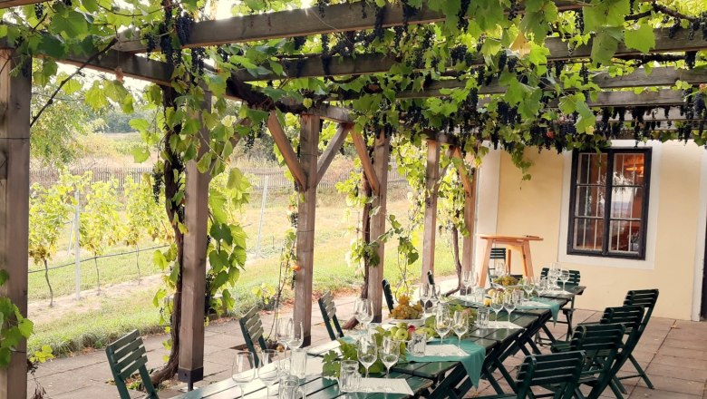 Table set under a pergola with vines.