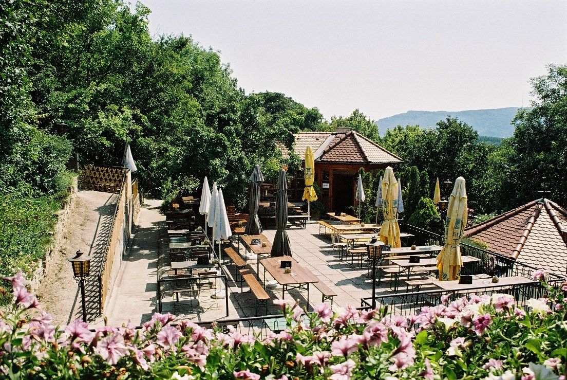 Terrace wine tavern with empty tables and parasols, surrounded by trees and flowers.