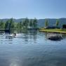 Person swimming in a pond with trees and hills in the background.