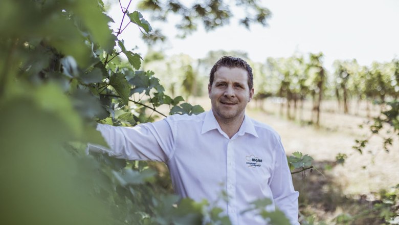 A man in a white shirt stands in a vineyard surrounded by vines.