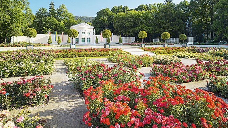 Life is a bed of roses: the Rosarium in Baden, © Rainer Mirau