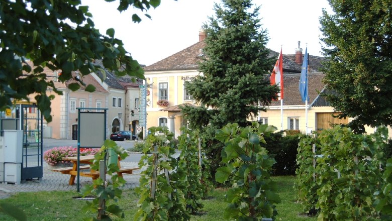 Main square in Pfaffst&auml;tten with town hall, vines and flags.