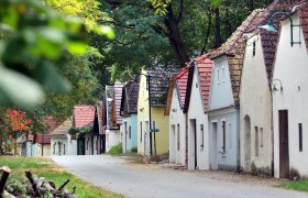 Row of wine cellars in a green, wooded setting.