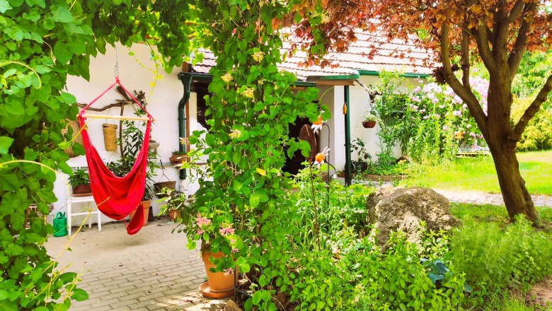 A green inner courtyard with hanging chairs, plants and trees.