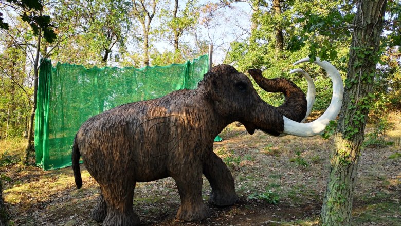 3D archery course, &copy; Peter Aufmesser