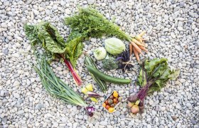 Various vegetables arranged on pebbles.