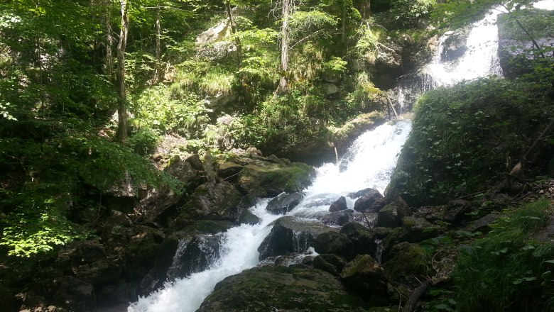 A waterfall flows through a wooded area with rocks and lush greenery.