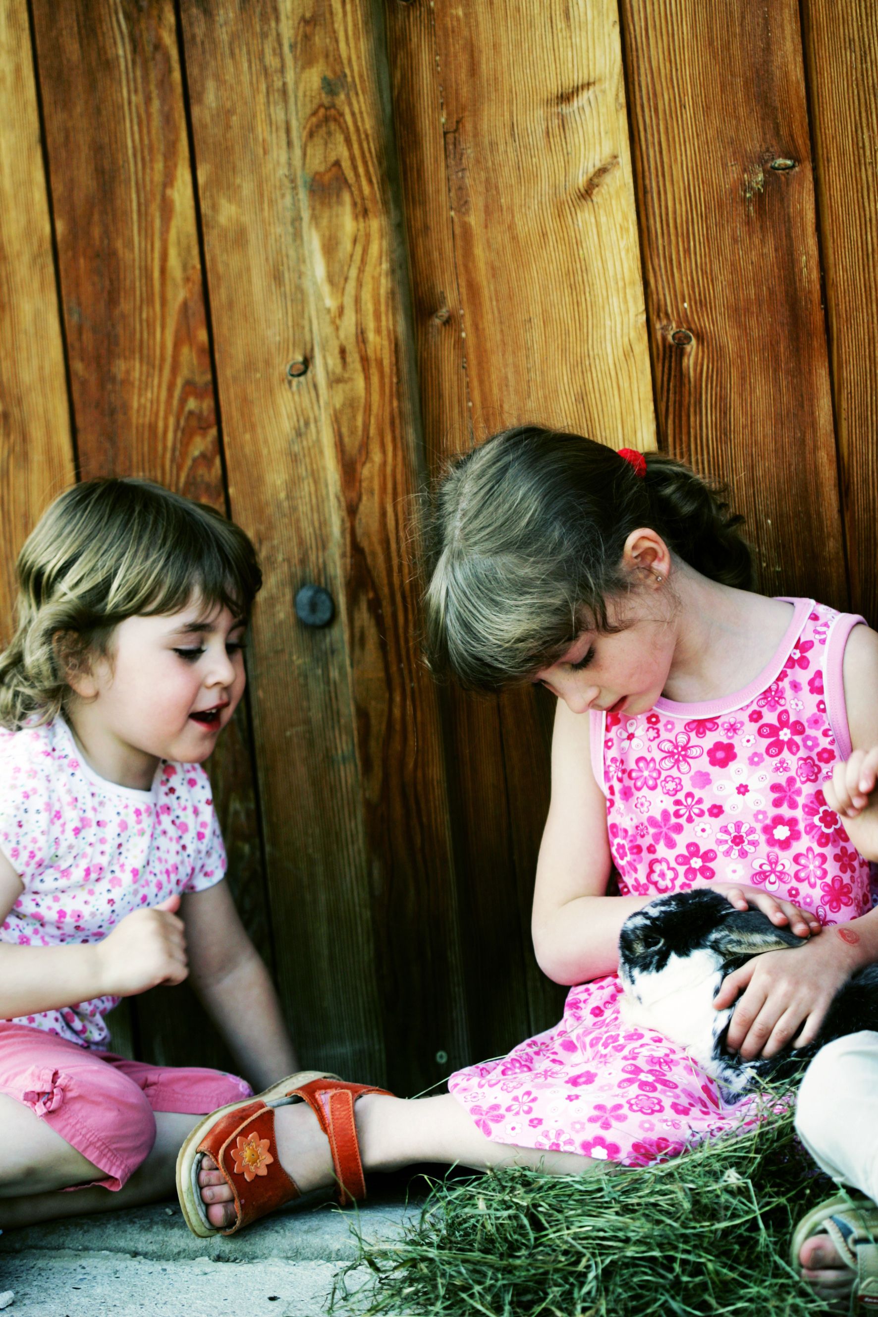 Two children sit in front of a wooden wall and stroke a rabbit.