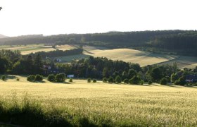 Landscape with fields, trees and houses in the background.