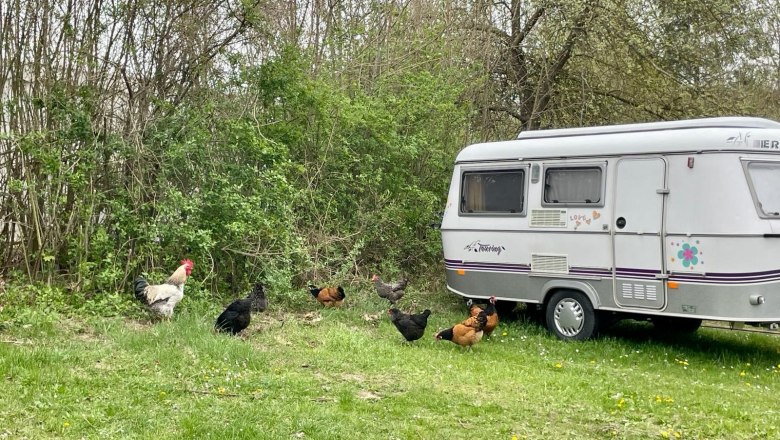 Camping-Finsterhof, &copy; Camping Finsterhof