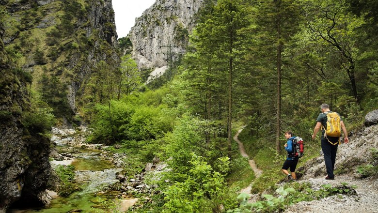 WF194963, &copy; weinfranz.at