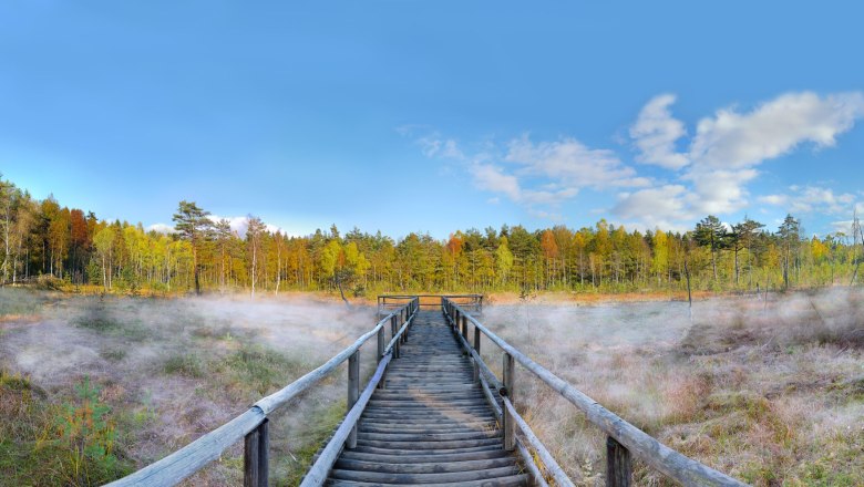 Spanking bridge in the Heidenreichstein moor, &copy; Horst Dolak
