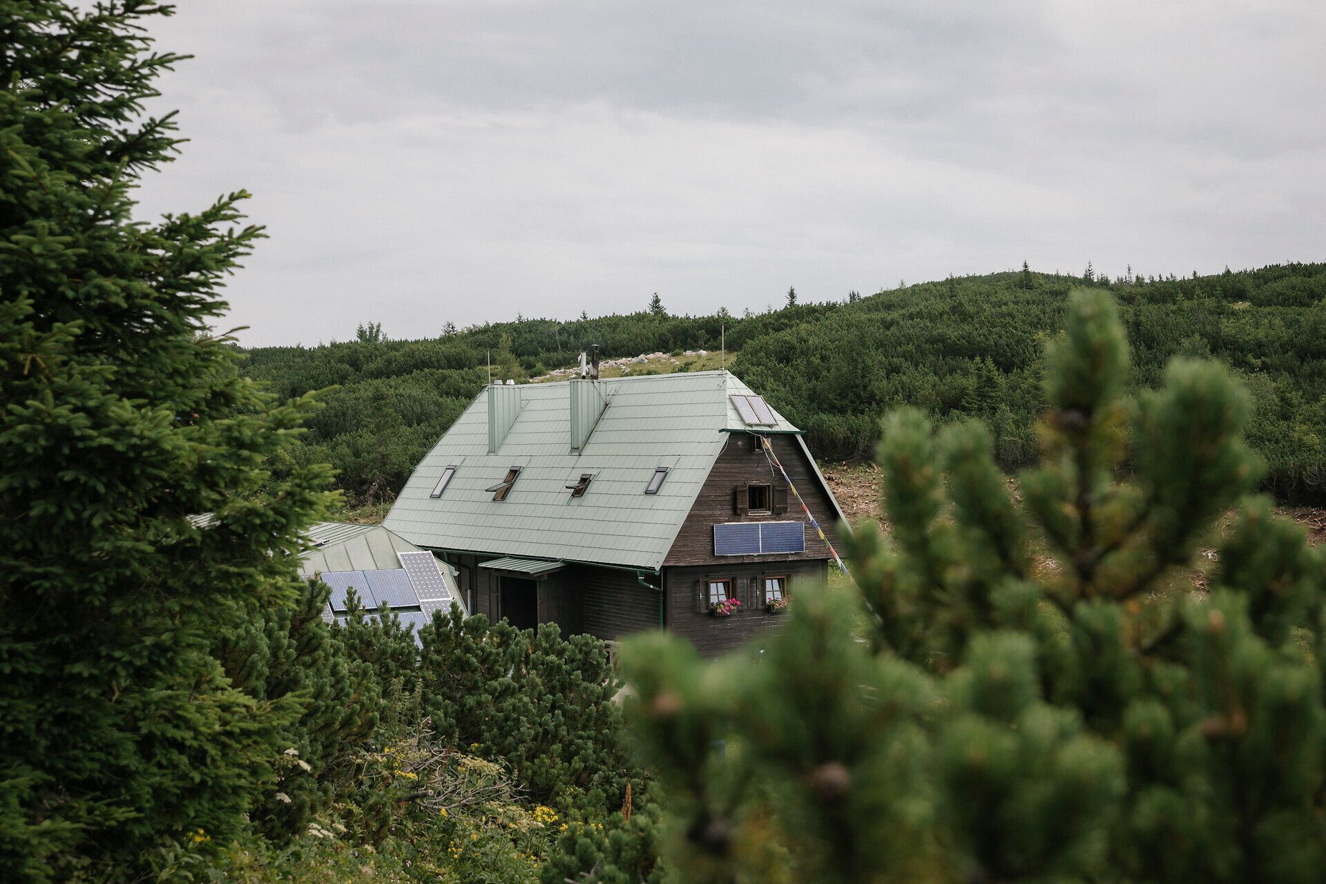 New mountain hut on the Rax, surrounded by mountain pines and alpine vegetation
