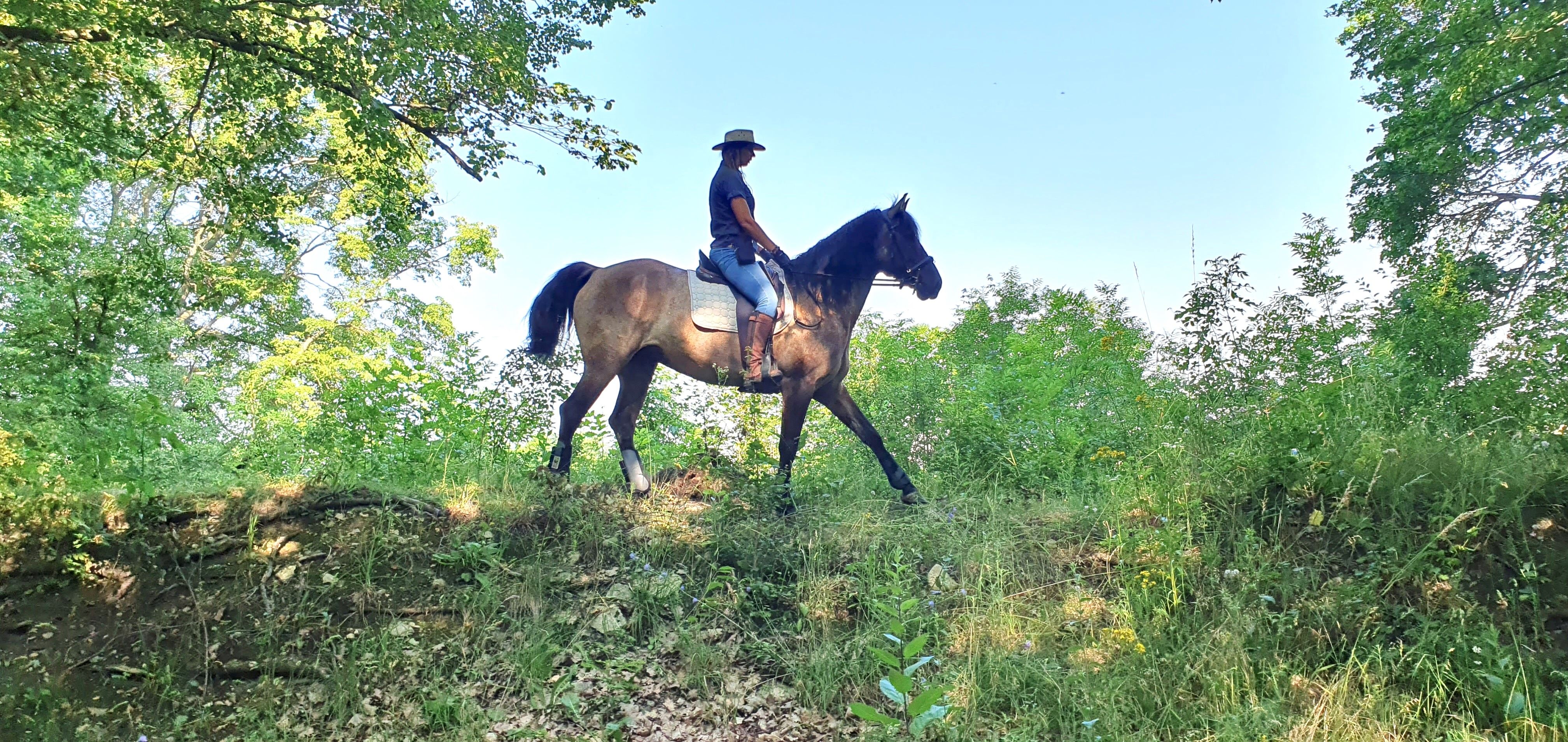 A person rides a horse through a green forest landscape.