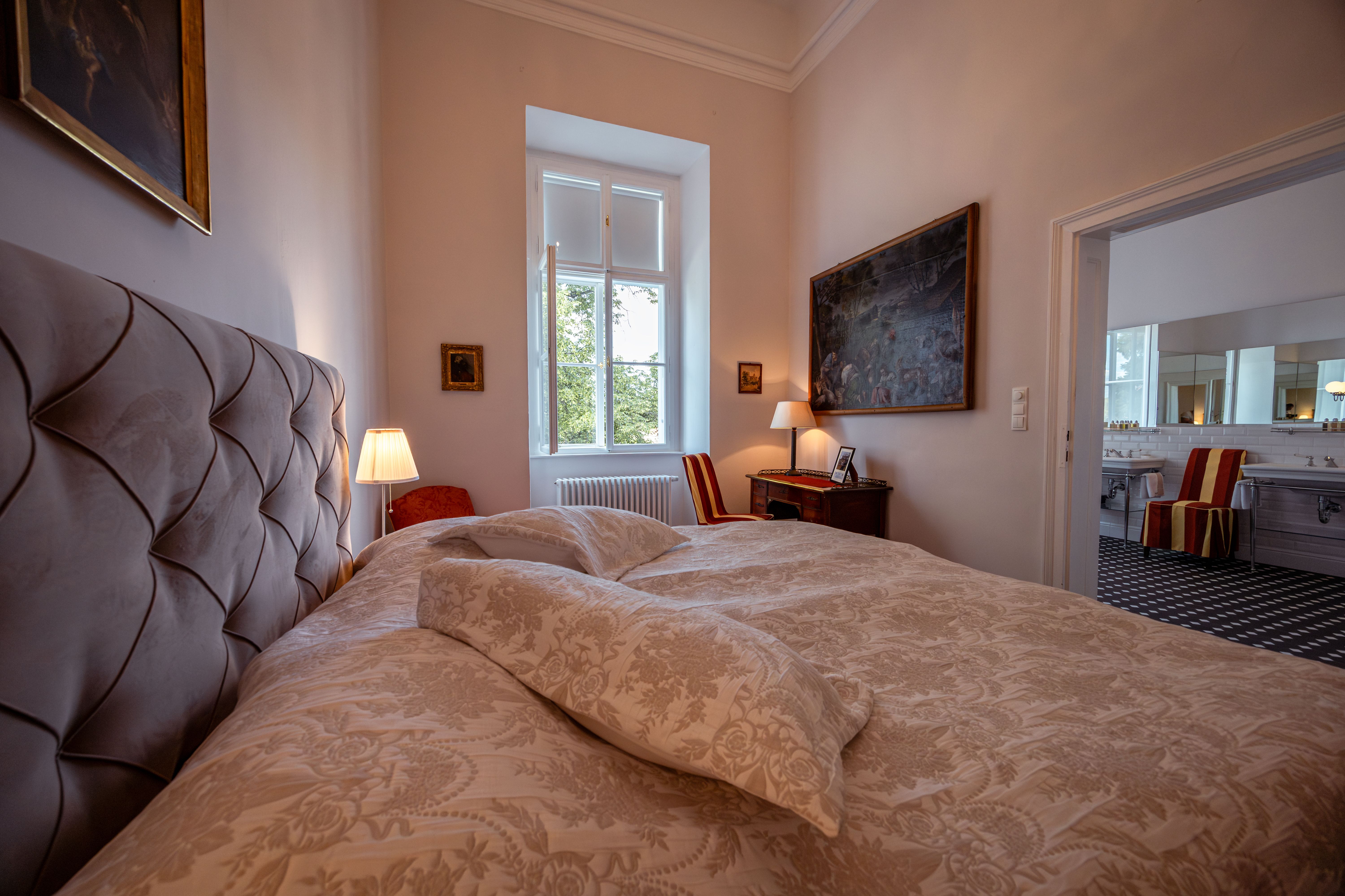 Aerial view of Horn Castle with red roof and clock tower, surrounded by trees and a town in the background.
