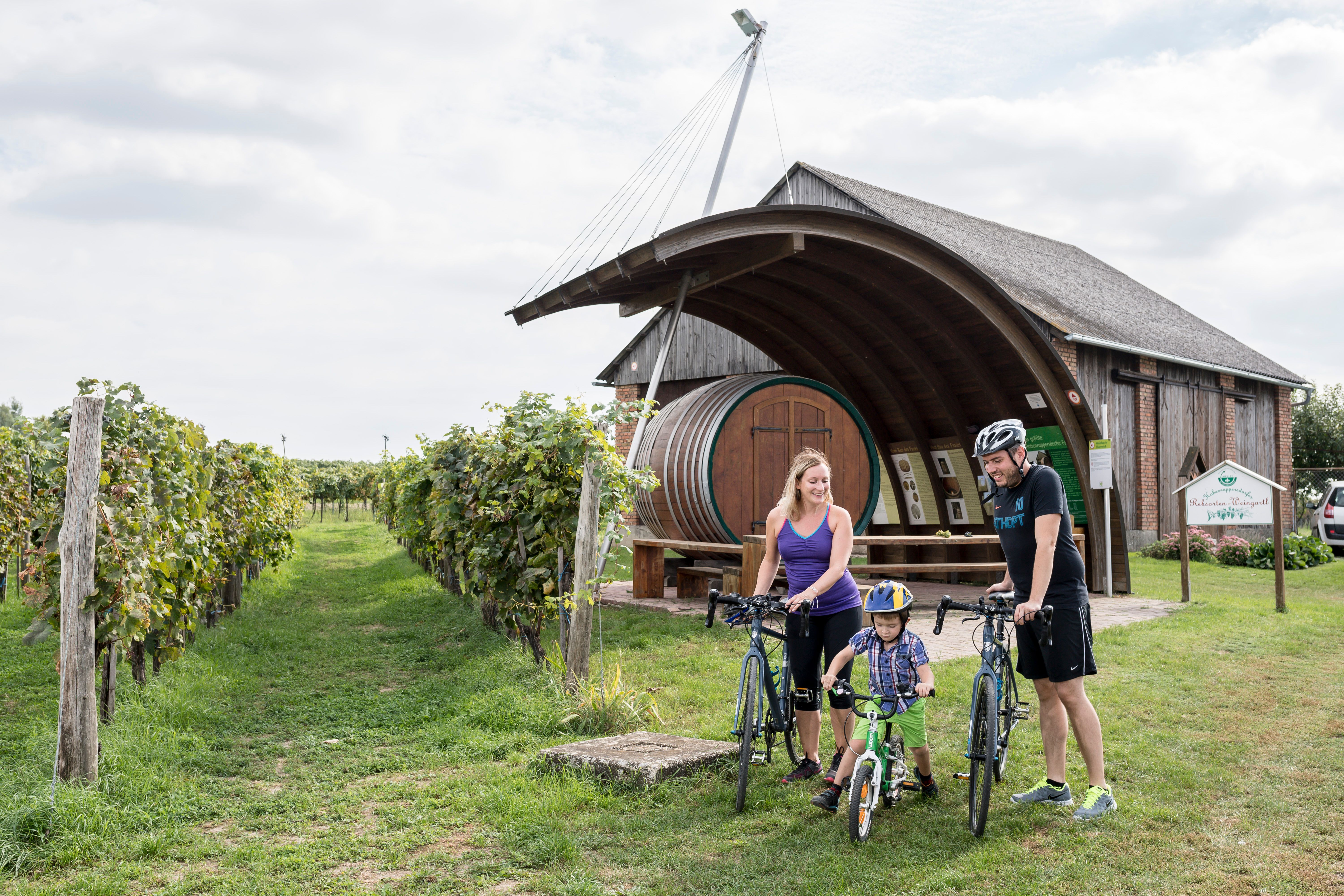 A family with bicycles in front of a winery with a large barrel in Hohenruppersdorf.