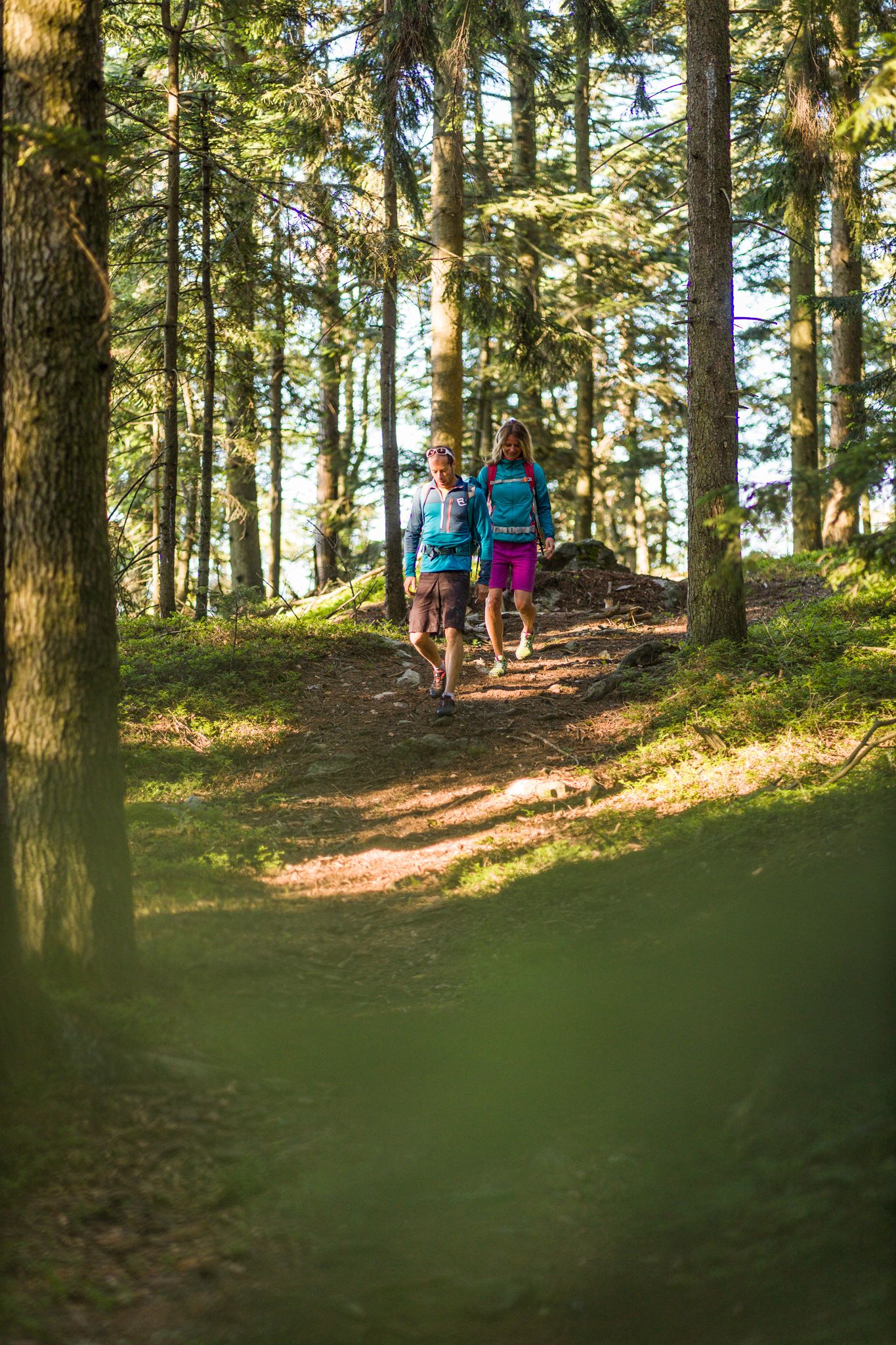 Two people are walking along a forest path surrounded by tall trees.