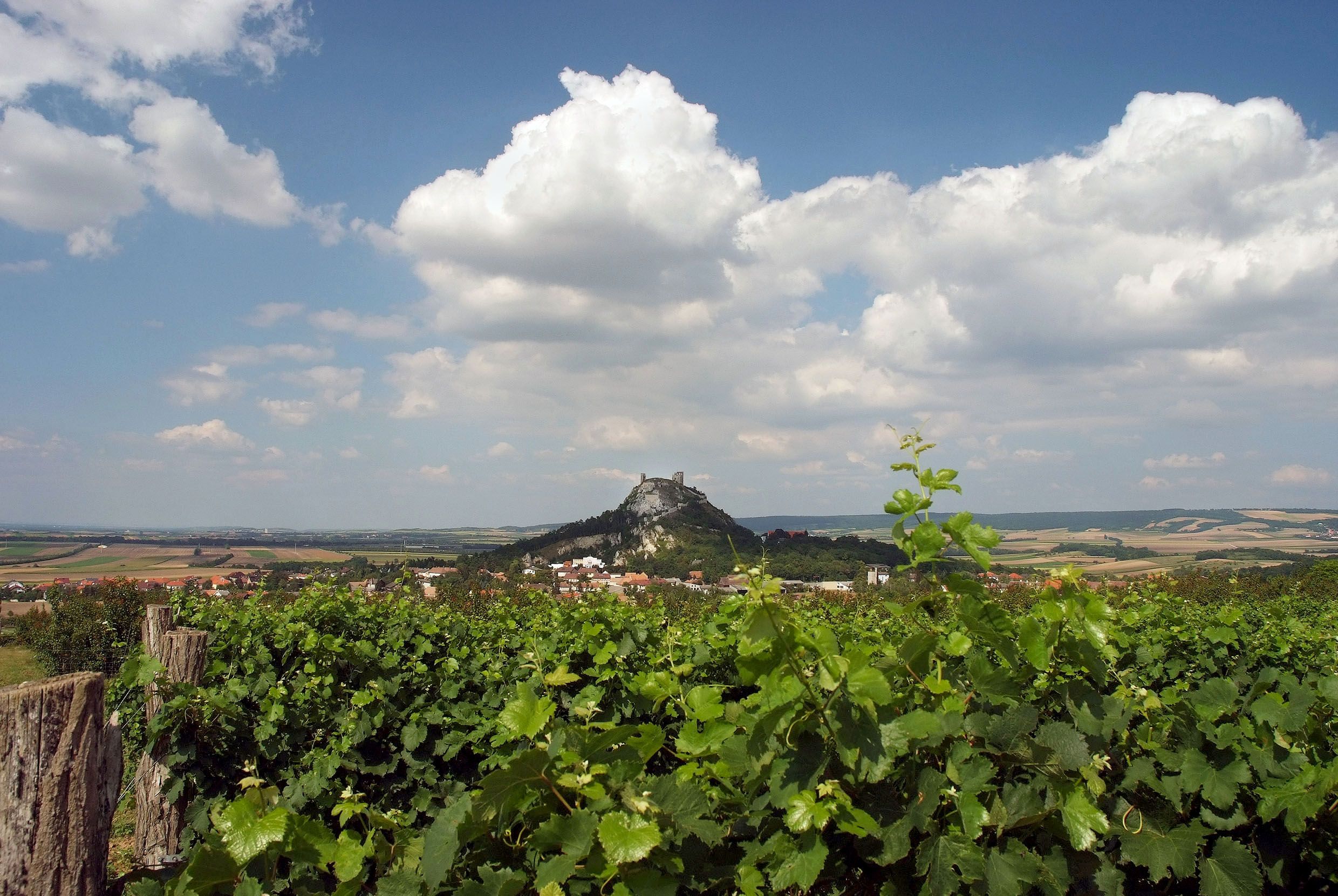 View of the Staatzer Berg with ruins, surrounded by vineyards and fields under a blue sky with clouds.