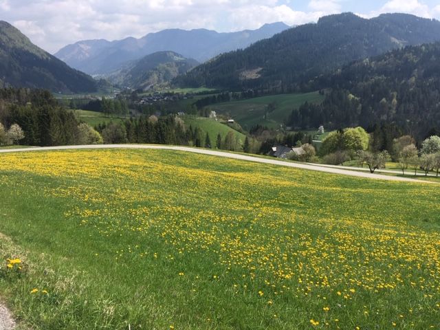 Spring in Göstling