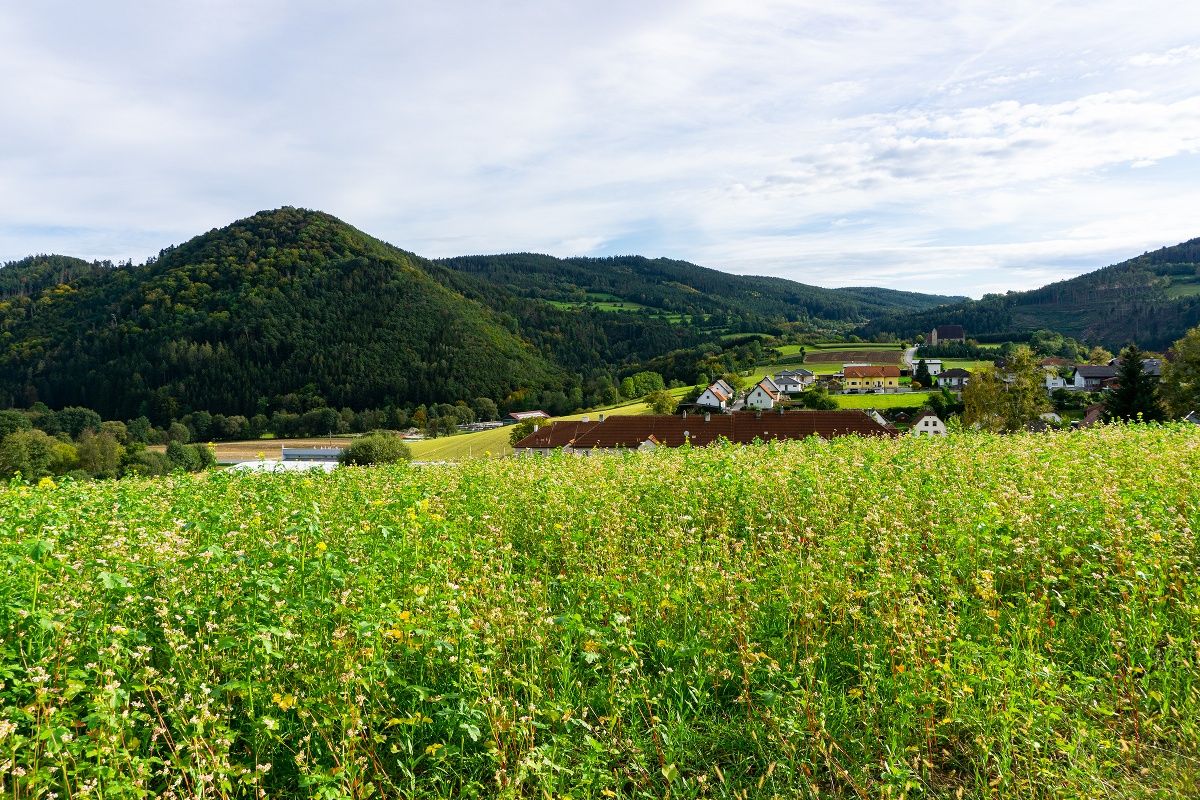 View to Mandlgupf, Hinterberg and St. Anna church