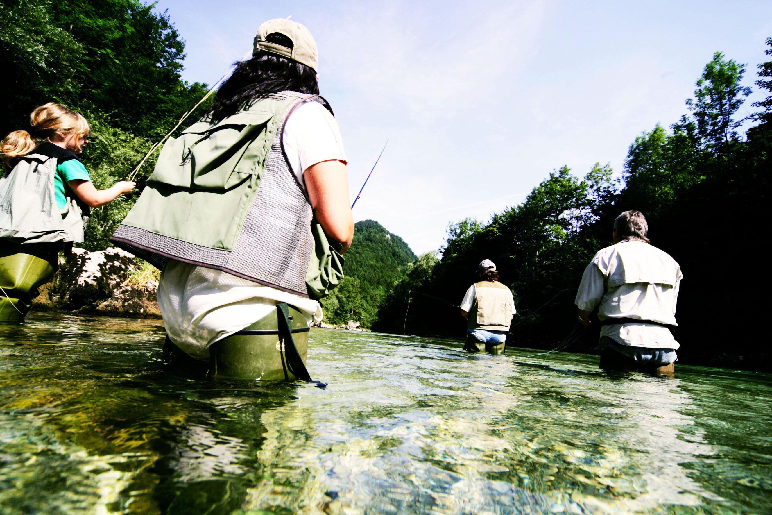 Four people fly fishing in a clear river surrounded by forest.
