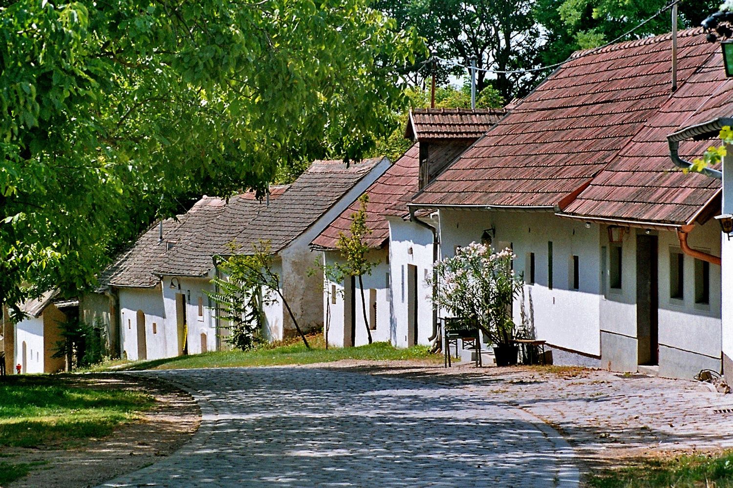 A picturesque wine cellar lane with old, white wine cellars and cobblestones in Pillichsdorf, surrounded by green trees.