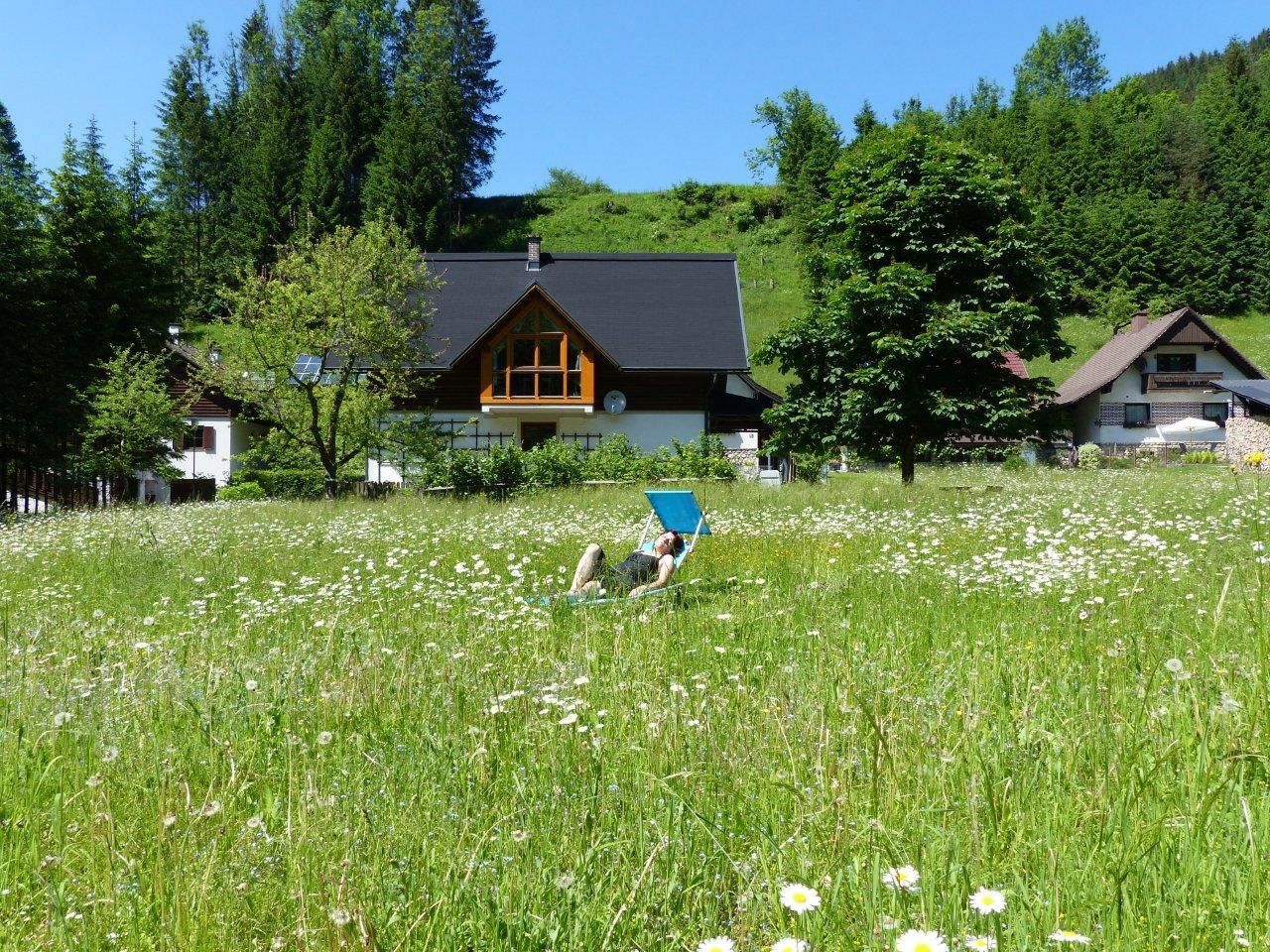 Vacation apartment Göstling in summer