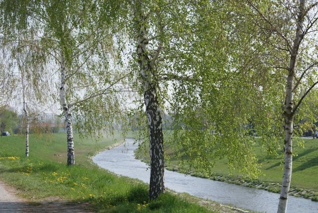 Surroundings, © Mag. Christiana Stöger