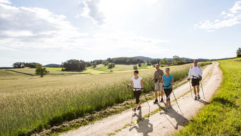 Four people Nordic walking on a country lane in a rural landscape.