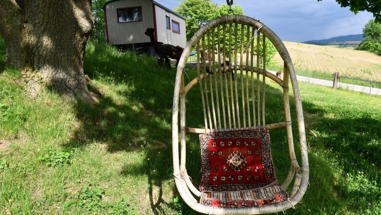 Leopold-the llama herding cart, &copy; lamawanderland