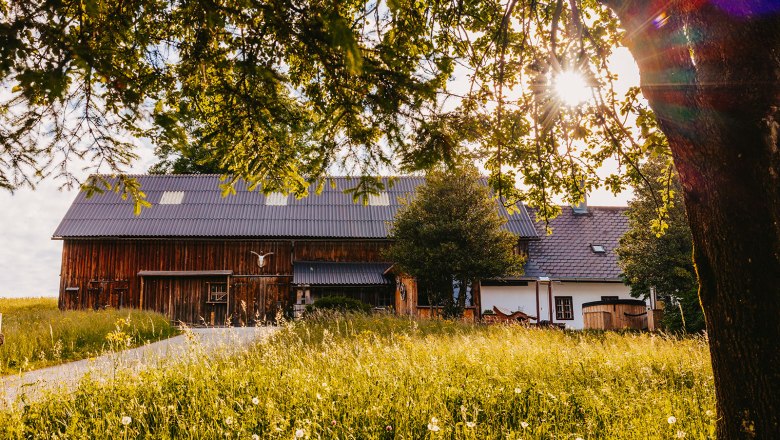 Nestelberg 17, © Sabine Wieser