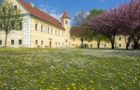 Atzenbrugg Castle with blossoming trees and meadow in the foreground.
