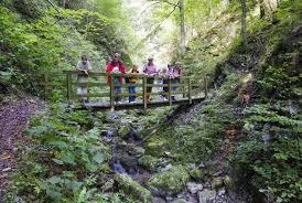 Group of hikers on a wooden bridge in a wooded gorge.
