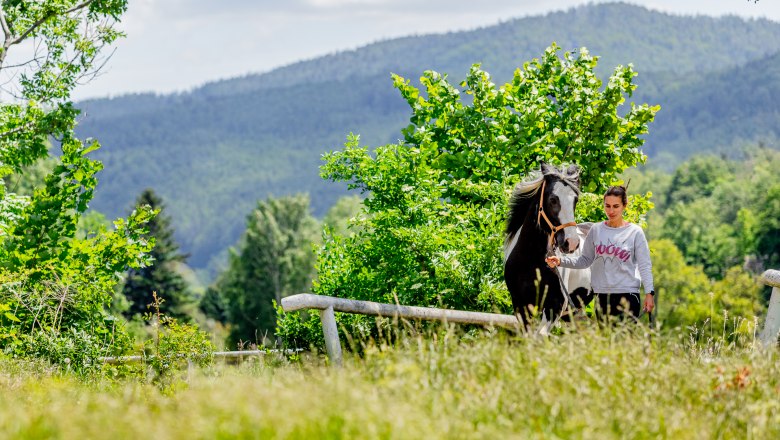 A woman leads a black and white horse through a meadow in front of a wooded mountain landscape.