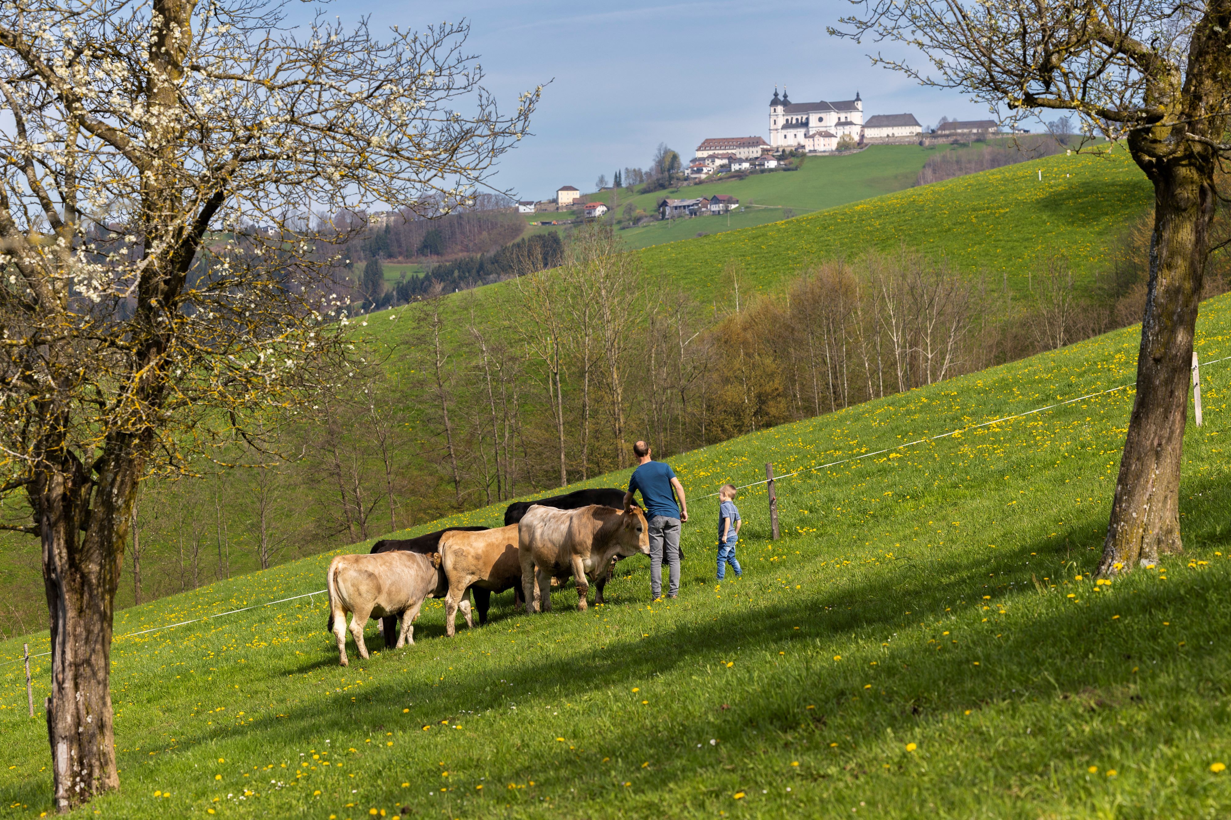 Organic farm Zillach