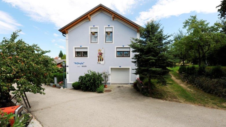 House, © Steve Haider A two-storey house with a blue façade and wooden roof, surrounded by trees and a paved path.